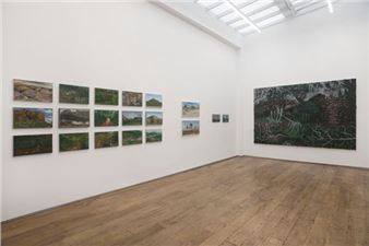 Rodrigo Andrade: Pintura Paisagem - Almeida & Dale (Caconde)