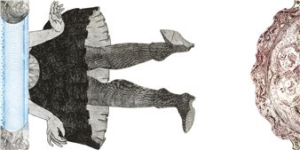 Tim von Veh: Unterm Rock - Delikatessenhaus