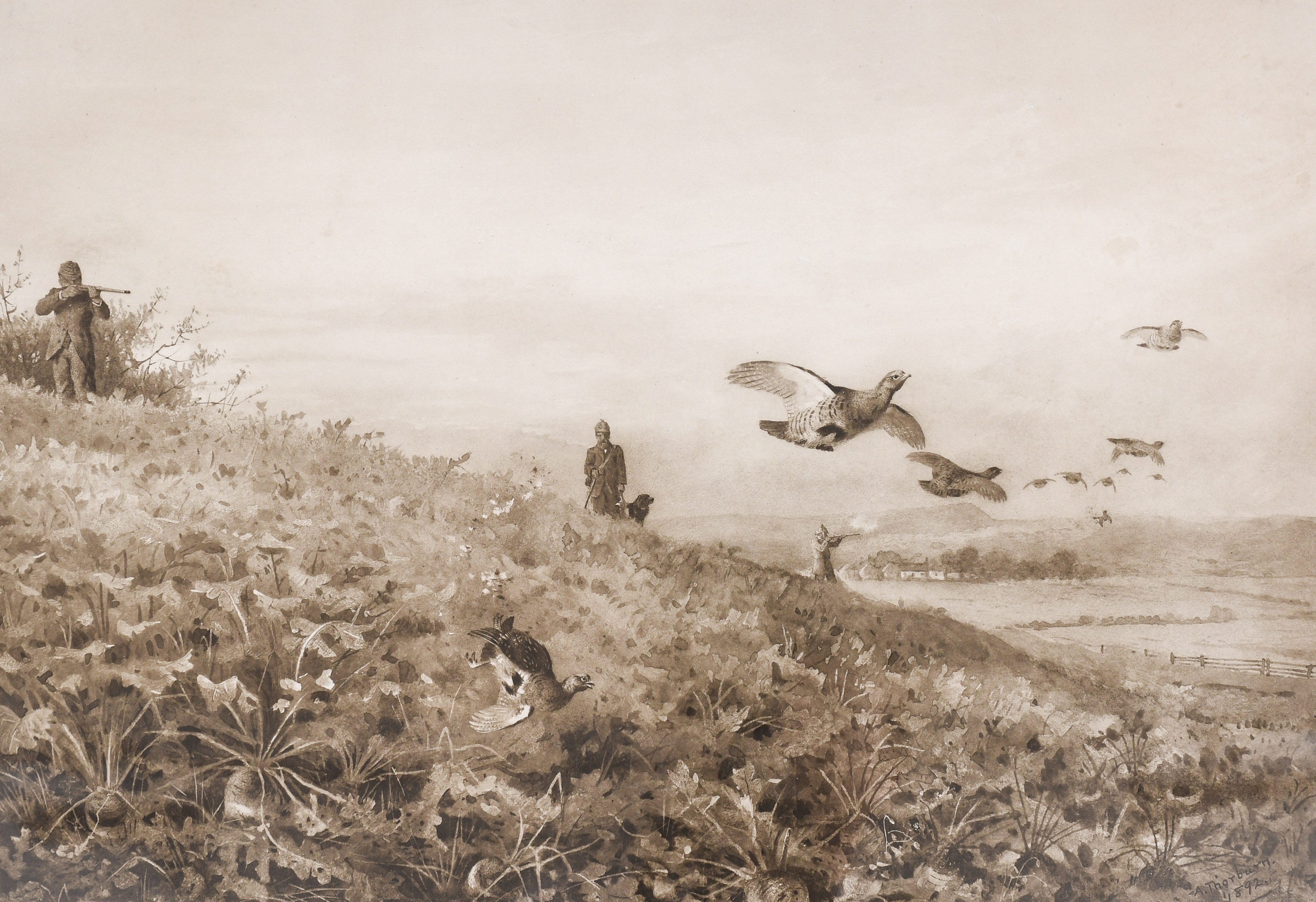 Archibald Thorburn | Red grouse in flight over an extensive landscape ...