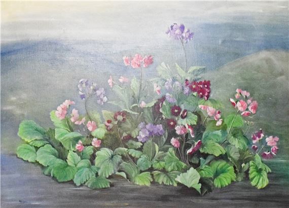 Primulas in a mountainous landscape