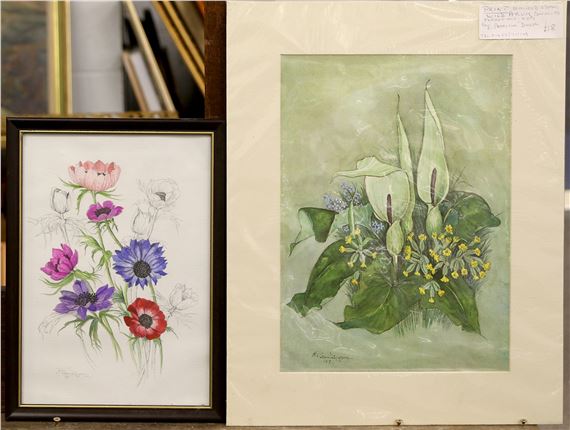 Honeysuckle and Butterflies