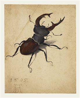Rijksmuseum Invaded by Creatures