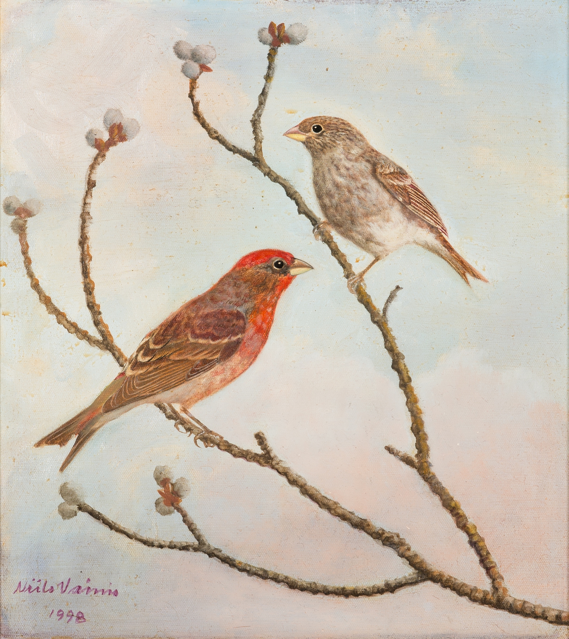 Niilo Vainio | Common rosefinches (1998) | MutualArt