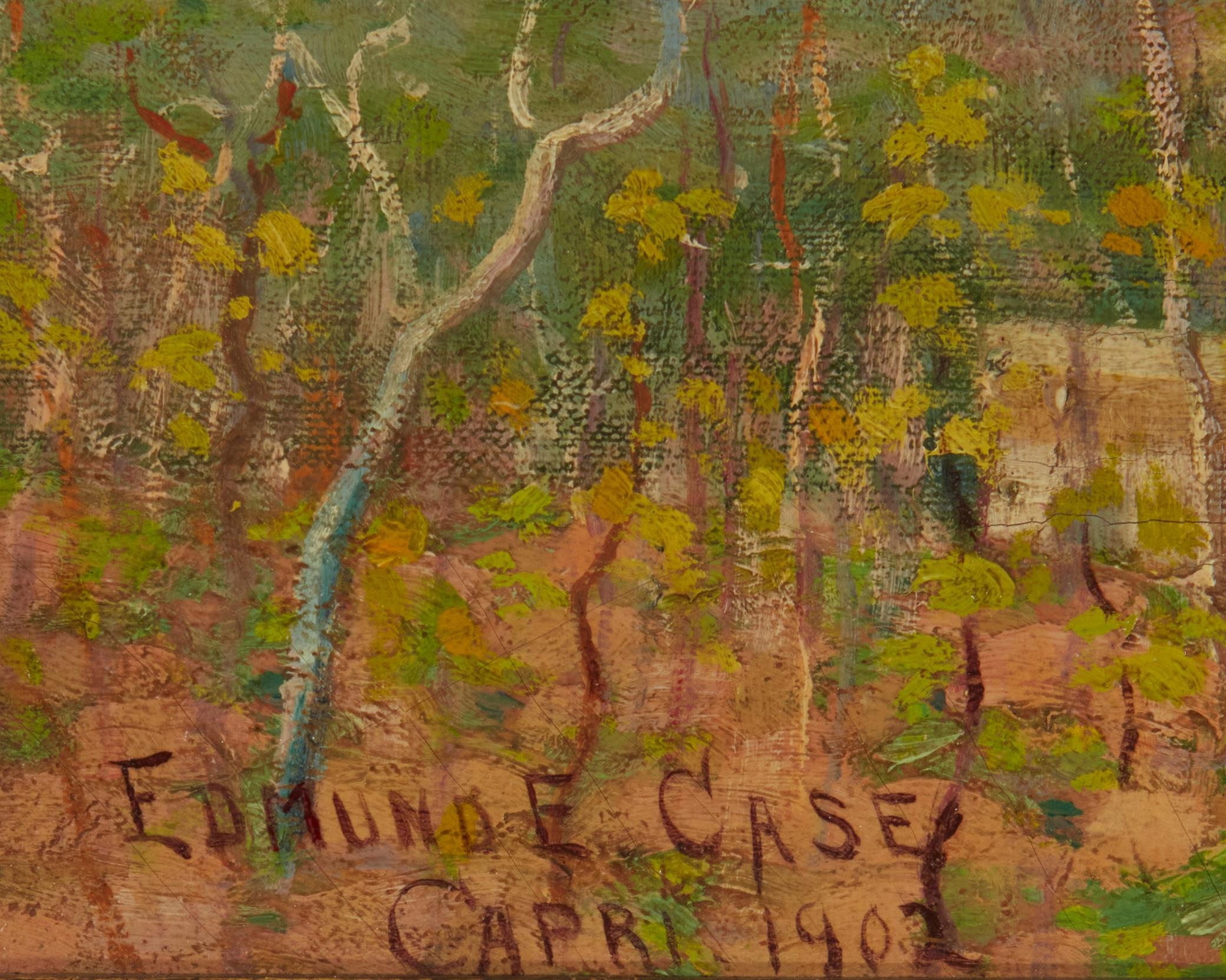 Edmund Elisha Case | A mountainous townscape (1902) | MutualArt