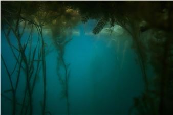 Hans Christian Schink: Unter Wasser - Galerie Rothamel, Frankfurt