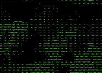 Accrochage - Thomas Erben Gallery