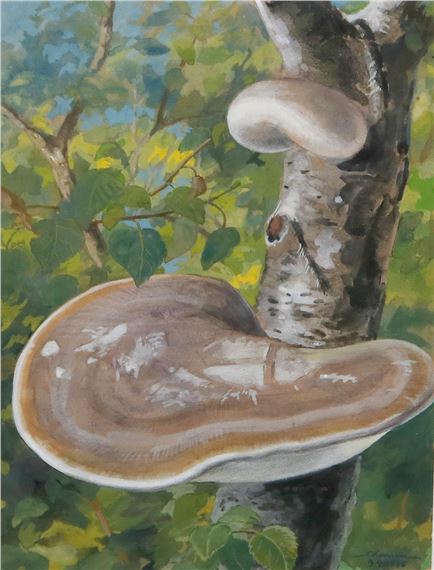 Mykologie by Fritz Koenen, 1938