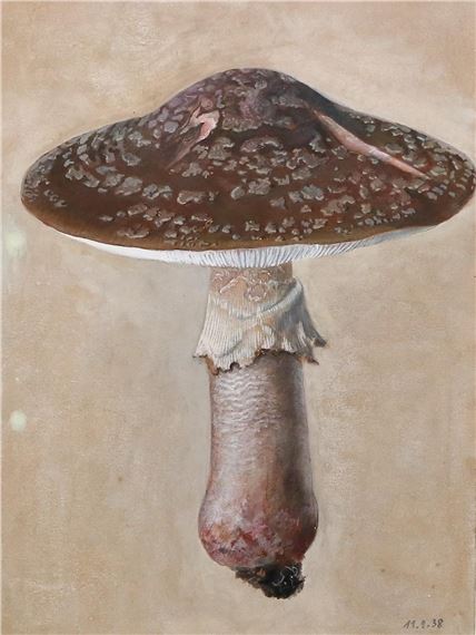 2658Mykologie by Fritz Koenen, 1938