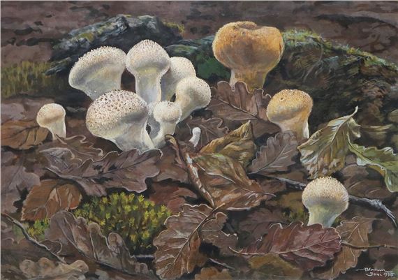 Mykologie by Fritz Koenen, 1938