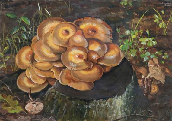 Mykologie by Fritz Koenen, 1938