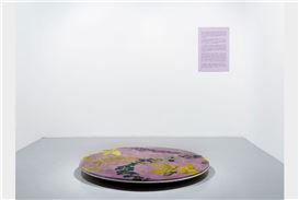 On Remembering for a Future: Maria Thereza Alves exhibits at Michel Rein, Paris