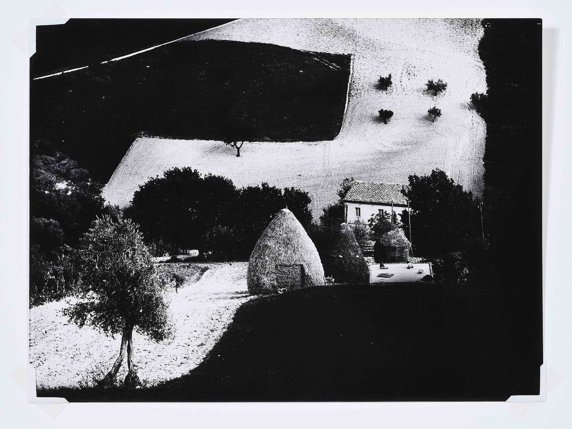 Mario Giacomelli | Landscape (from the Paesaggio Series) | MutualArt