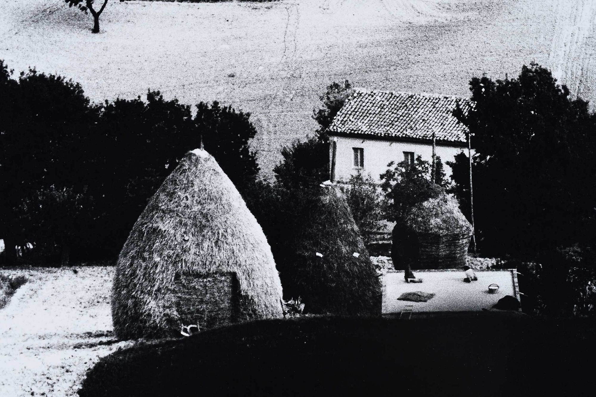 Mario Giacomelli | Landscape (from the Paesaggio Series) | MutualArt