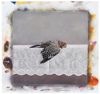 Woodpecker on a Tablecloth - Kate Breakey