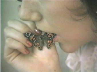 Erica Schreiner: Feminine Transgressions - Bill Hodges Gallery