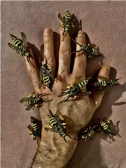 Christophe Coppens: Playdate - Galerie Zwart Huis, Brussels