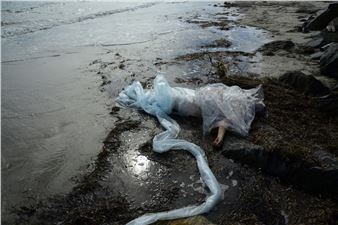 Art, Science and Technology: A Partnership for Uncertain Times - Newmarch Gallery