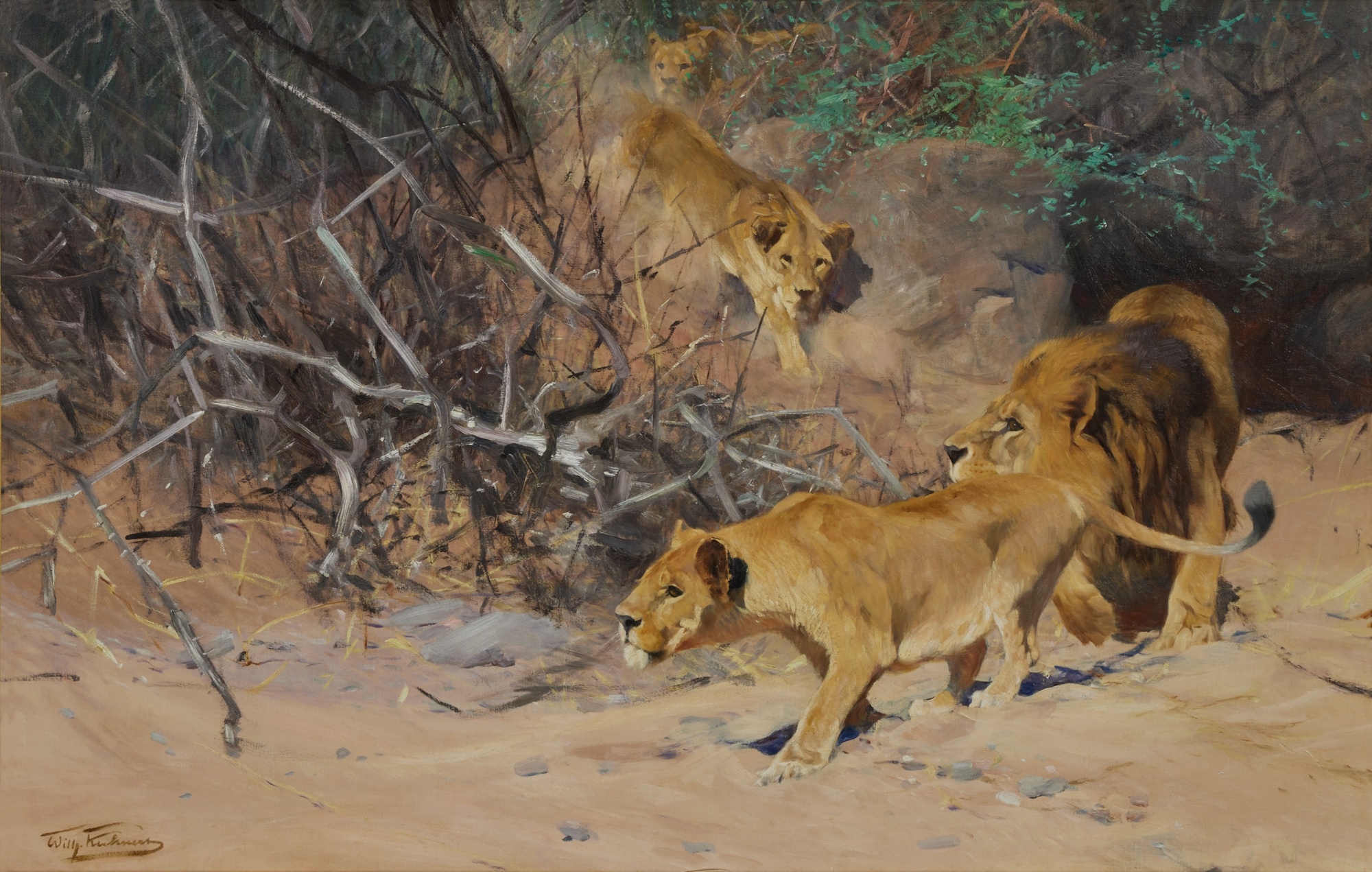 A Pride of Lions on the Prowl by Wilhelm Kuhnert