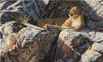 SUTTON FINCH OIL ON BOARD - Sutton Finch