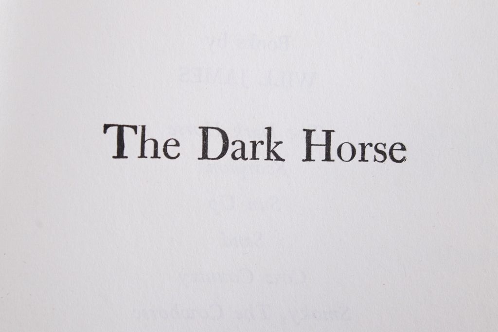 Will James The Dark Horse (1939) MutualArt