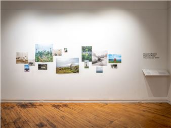 Alexandra Majerus & Stephanie Power: The Landscape Within - Gallery 44 Centre for Contemporary Photography