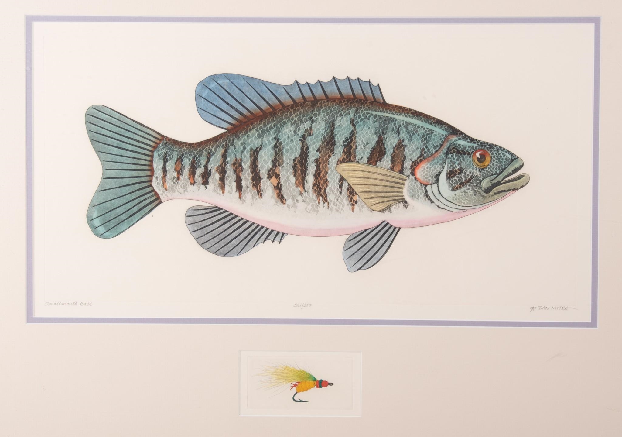 Dan Mitra | Smallmouth Bass and Redfish (20th century) | MutualArt