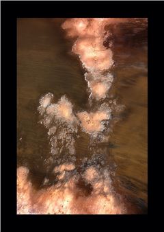 Emergences (Open Borders) - Holmes à Court Gallery at Vasse Felix