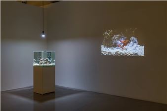 Faint Afterglow - Gallery Baton