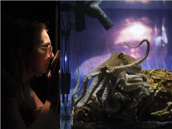 Who Can Think, What Can Think - Te Tuhi