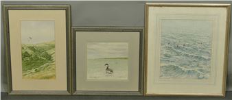 Slavonian Grebes, Studland Bay - Hamish Murray