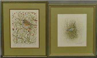 Redwing in Hawthorn - Hamish Murray