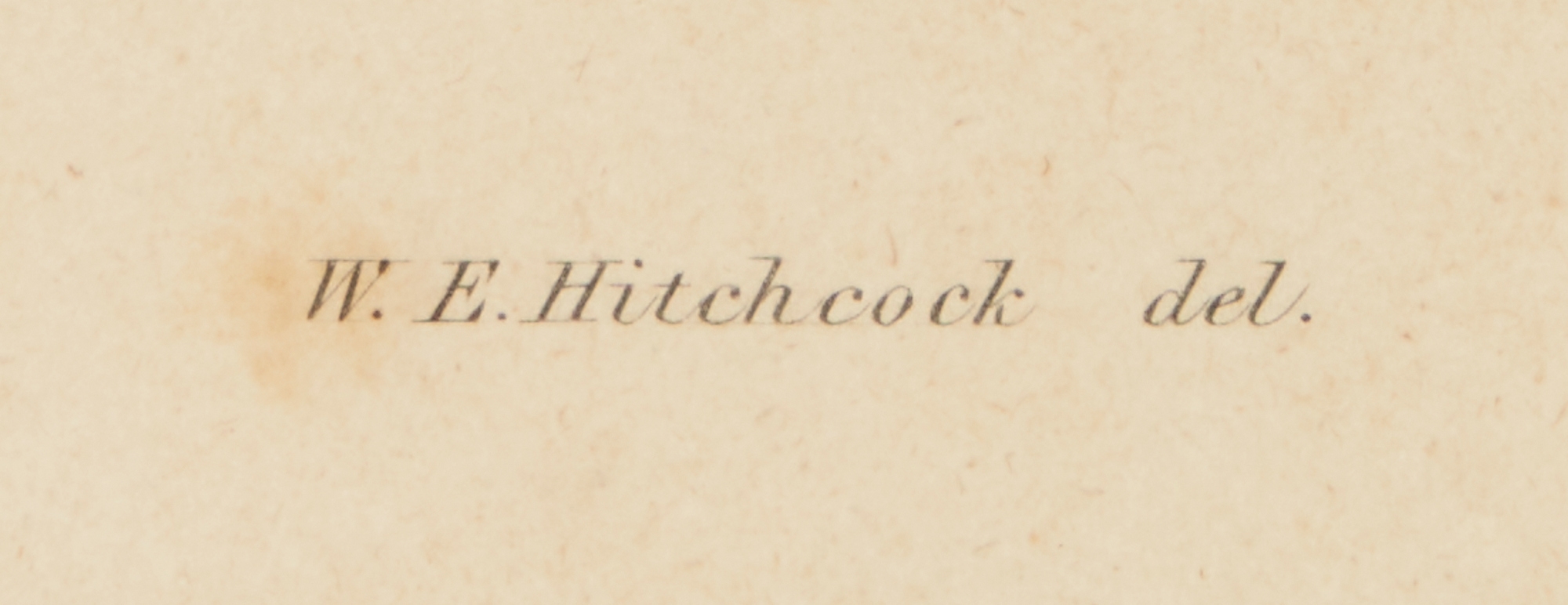 Artwork by William H. Dougal, 4 Rare Early Bird Prints from John Cassin's Mammalogy and Ornithology, Made of engravings