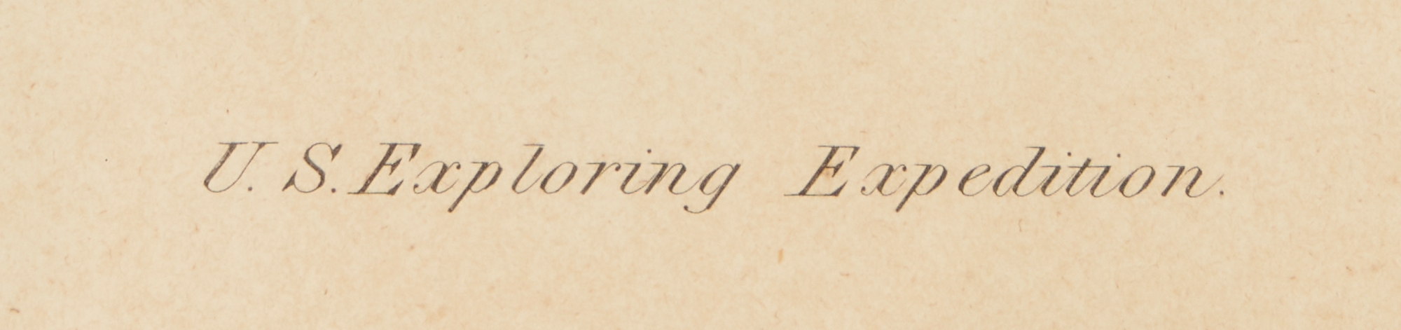 Artwork by William H. Dougal, 4 Rare Early Bird Prints from John Cassin's Mammalogy and Ornithology, Made of engravings