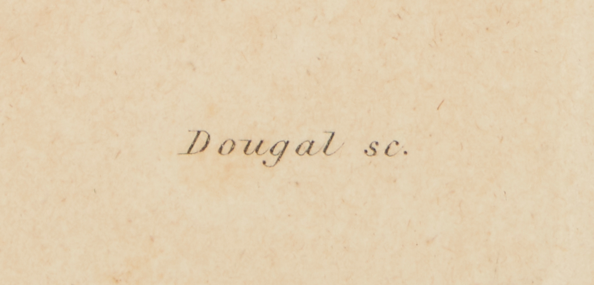Artwork by William H. Dougal, 4 Rare Early Bird Prints from John Cassin's Mammalogy and Ornithology, Made of engravings