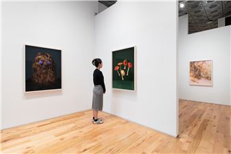 Ann Shelton: I Am An Old Phenomenon - Denny Gallery, New York