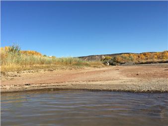 Going with the Flow: Art, Actions, and Western Waters - SITE Santa Fe