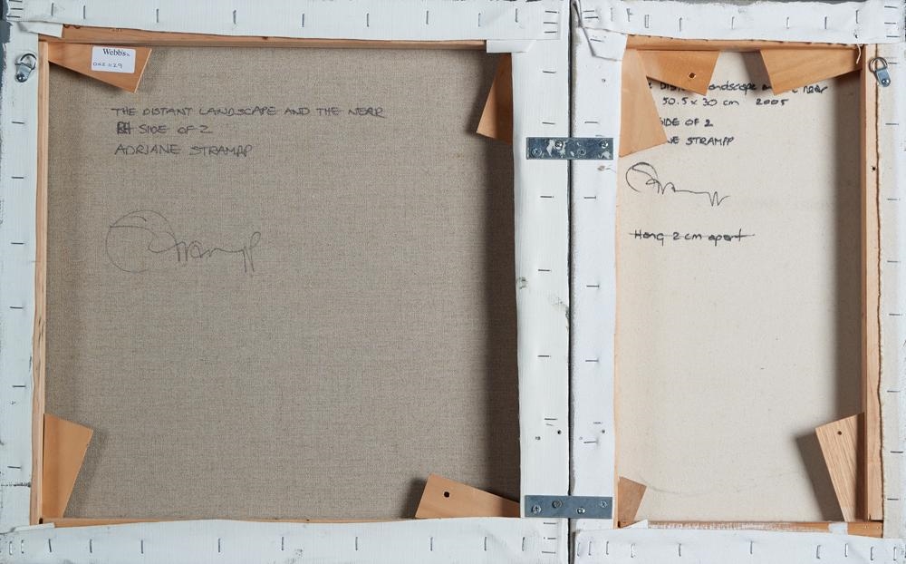 Artwork by Adriane Strampp, The Distance Landscape and the Near, Made of acrylic on canvas