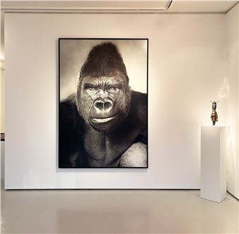 Group Show - Absolute Art Gallery, Knokke (Kustlaan)