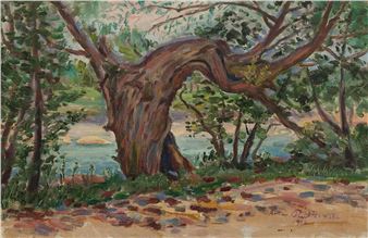 ROZŁOŻYSTA WIERZBA NAD WODĄ - Artur Rutkowski