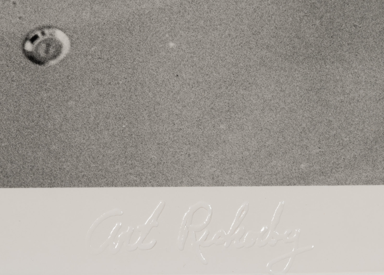 Arthur Rickerby | Roses in Kennedy's Limousine (1963) | MutualArt