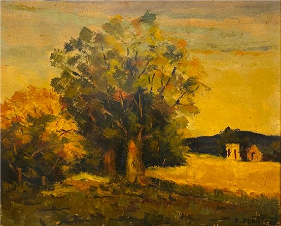 Campo by Pedro Duarte, '79