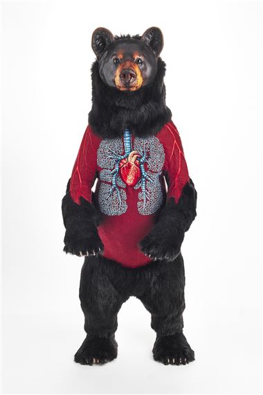 Deborah Simon: Embroidered Morphologies - International Museum of Surgical Science