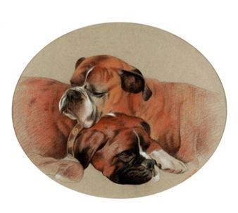 Boxern (2005). - Galina Perova