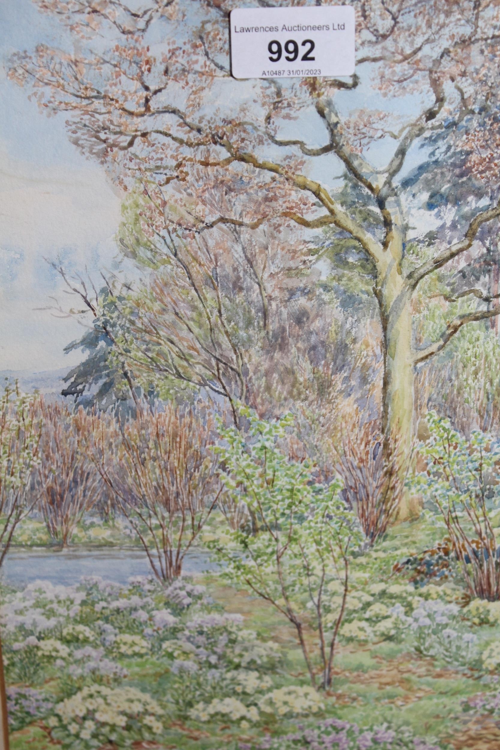 Artwork by Beatrice Parsons, watercolour ' Primroses in a Surrey Wood ', Made of watercolour