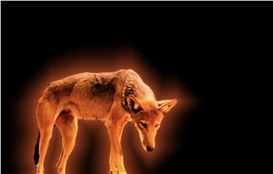 A Warning to Slow Down: In Conversation with Lauren Strohacker and Dr. Lisa Minerva Tolentino