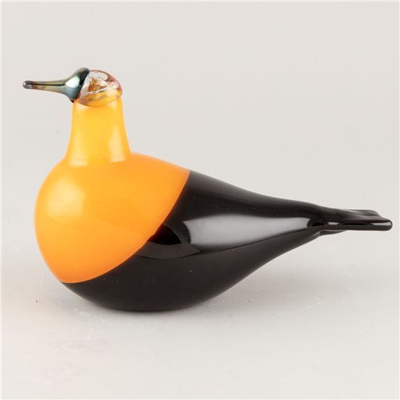 bird, Oriol, Nuutajärvi