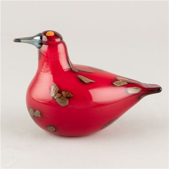 bird, Mallard (male), Nuutajärvi