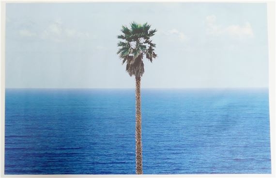 印刷物 Palm tree/seascape/ジョン バルデッサリ/額装ポスター