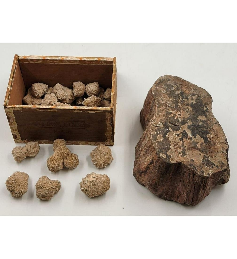 Unknown | A Grouping Of desert Rose Selenite Specimen And A Petrified ...