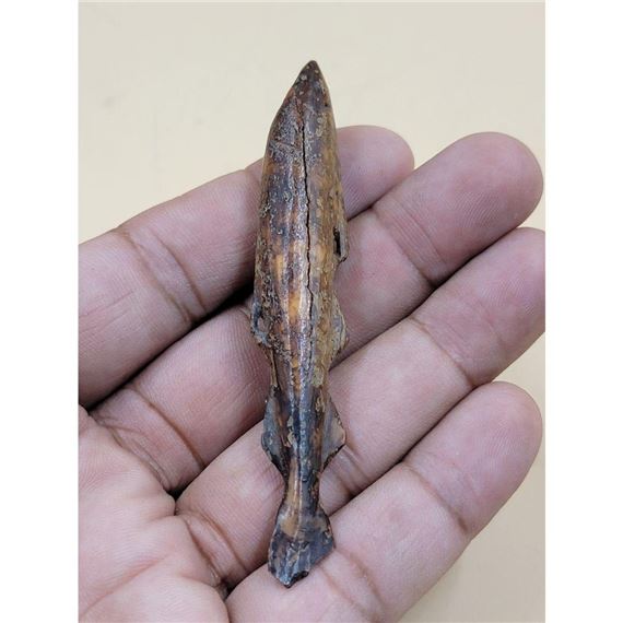 Inuit Fishing Tools